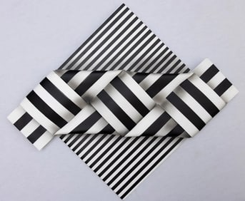 OMAR RAYO "HUELLA DEL TIEMPO" "TIME FOOTPRINT"