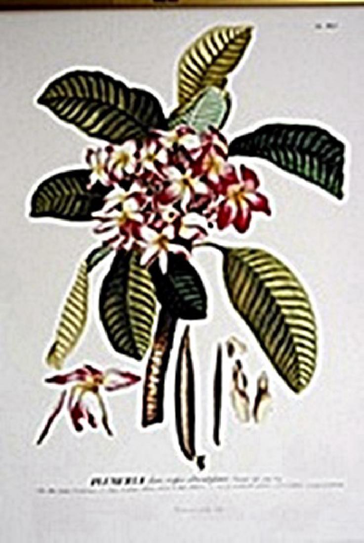 Andre Derain - The Forest: Oil on paper in the manner of Andre Derain "The Forest" circa 1935, private collection, unframed dimensions approximately 16x13. André Derain was a French artist, painter, sculptor and co-founder of