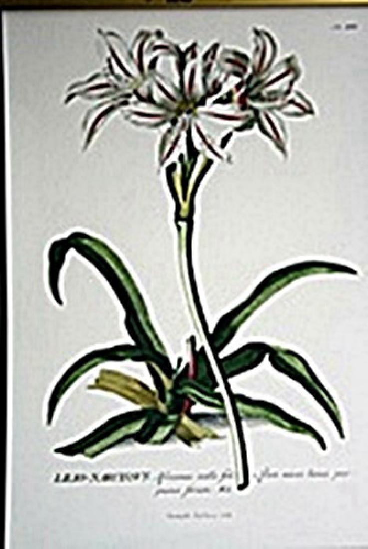 Odilon Redon - The Tree: In the manner of Odilon Redon "The Tree" pastel on paper circa. 1935, private collection approx. 9x11in. Known for his unique blend of artistic naturalism and symbolic subject matter, In the manner of