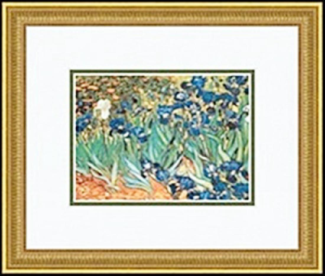 IRIS GARDEN VINCENT VAN GOGH: authentic lithograph , IMAGE SIZE: 7X5", FRAMED SIZE: 13 3/16X11 3/16"