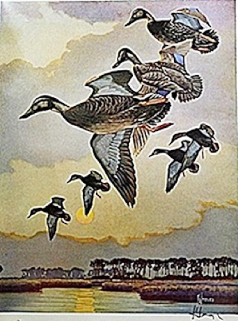 analysis-of-the-black-duck-novel