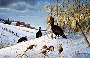 Print "Wild Turkey Feedin" Les C. Kouba: Authentic Fine Art Print, Numbered, Bearing an Interpretive Hand Pencil Signature and Plate Signature of the Artist, Approx. 11" " x 14 1/2" In.