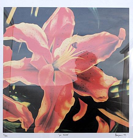 You Blushed - Jason Benjamin - Lithograph: Lithograph by Jason Benjamin. Jason Benjamin was born in Melbourne in 1971 and had a fairly peripatetic childhood. Moving from Sydney to the USA to Mexico and returning to Sydney for high school. At 1