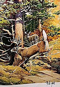 LITHOGRAPH "THE WHITE-TAIL DEER" BY ARTIST FRANCIS LEE: LITHOGRAPH IN THE MANNER OF FRANCIS LEE JAQUES BEARING THE SIGNATURE, TITLED "THE WHITE-TAIL DEER" COMES WITH CERTIFICATE OF AUTHENTICITY, FRAMING AVAILABLE AT AN ADDITIONAL COST.