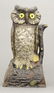 Owl Turns Head