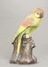 Parrot on Stump