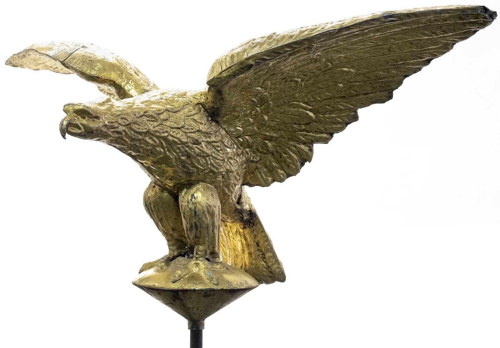 Impressive Spread-Winged Eagle (1 of 3)