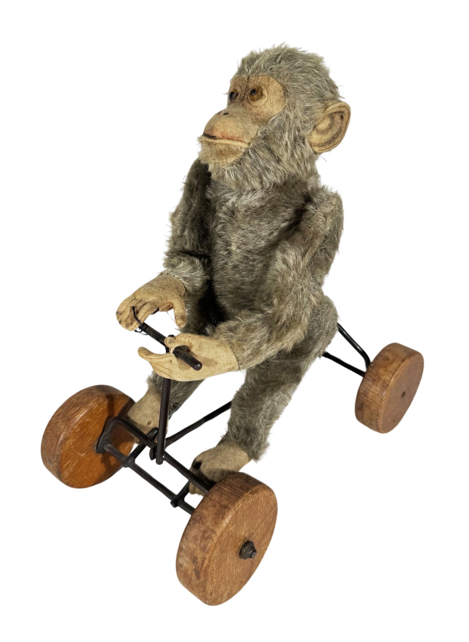 Monkey on Wheels (1 of 7)