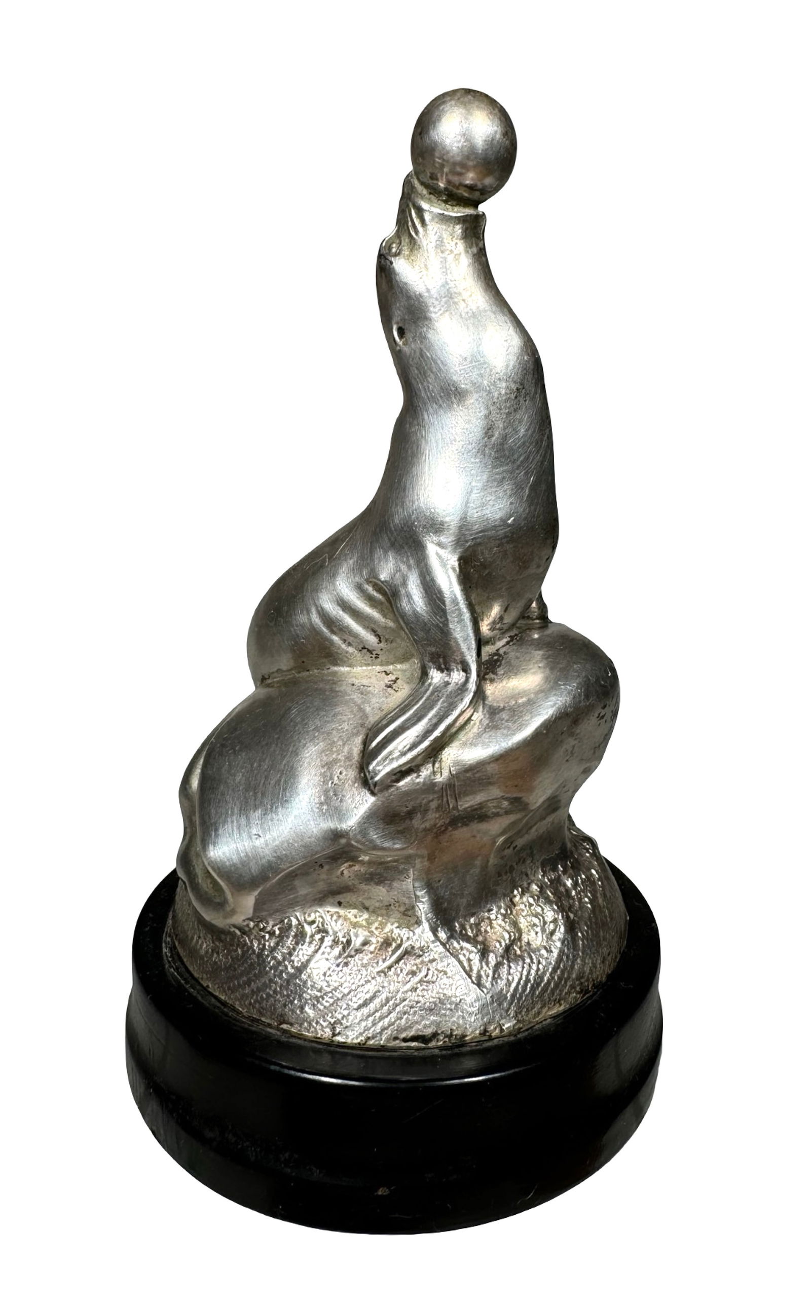 Seal on Rocks Juggling a Ball Bank (1 of 6)