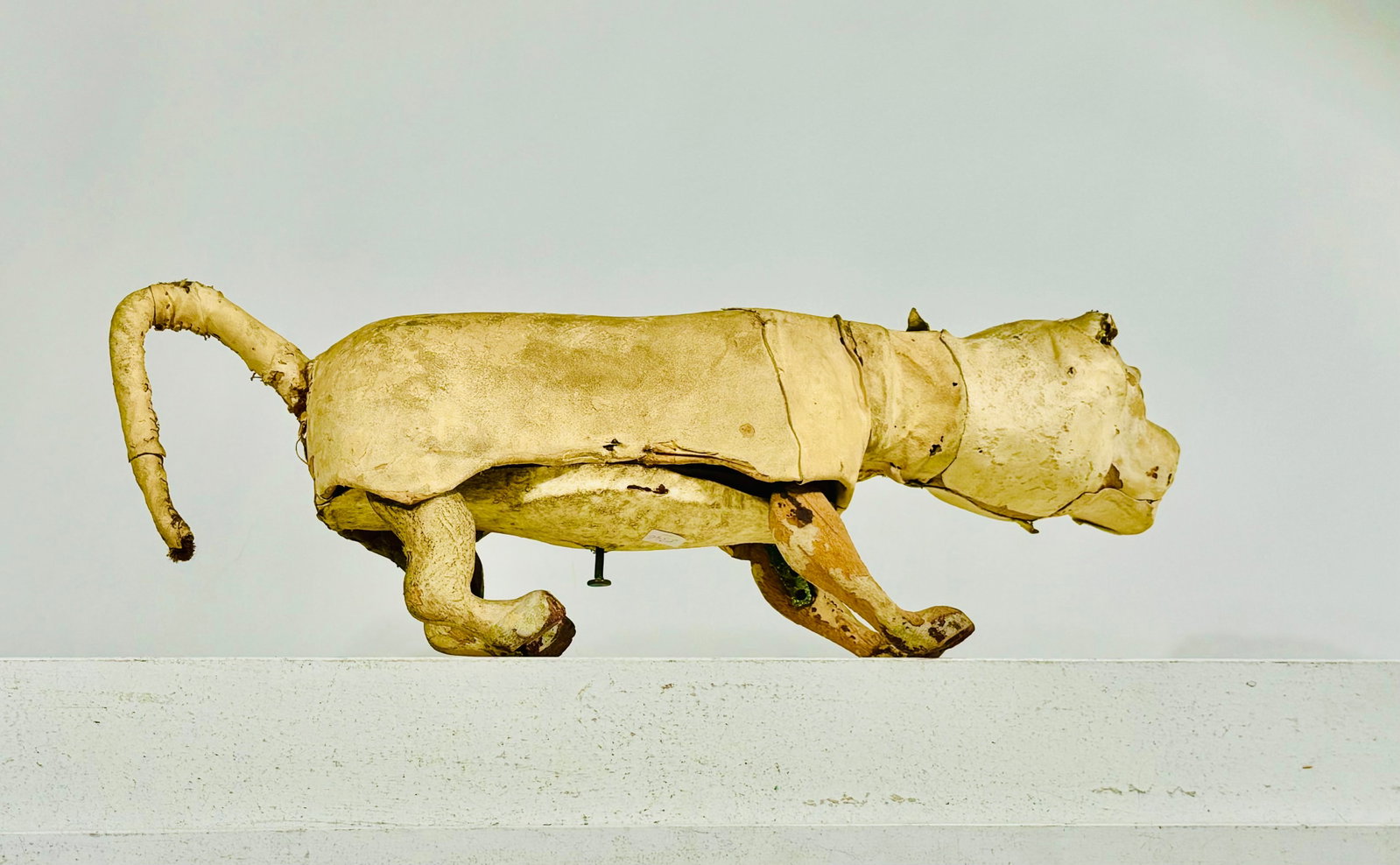 Tiger Lacking Fur: Made by DesCamps. French - 1920's - 17 1/2" Long.
