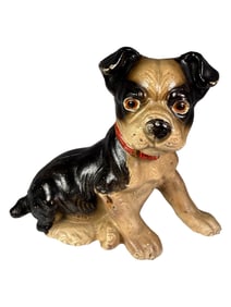 Seated Boston Bull Terrier