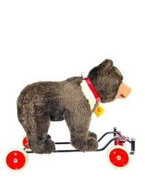 Bear on Wheels