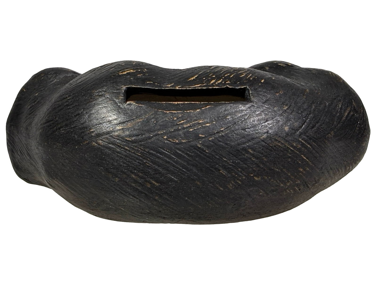 Dachshund Laying Down - 3