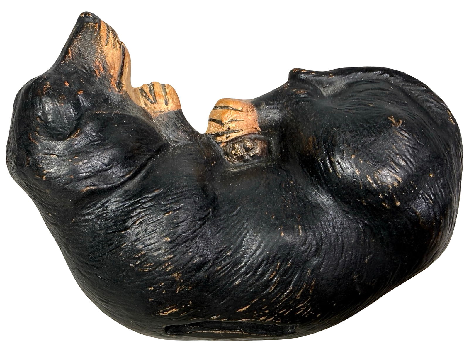 Dachshund Laying Down - 5