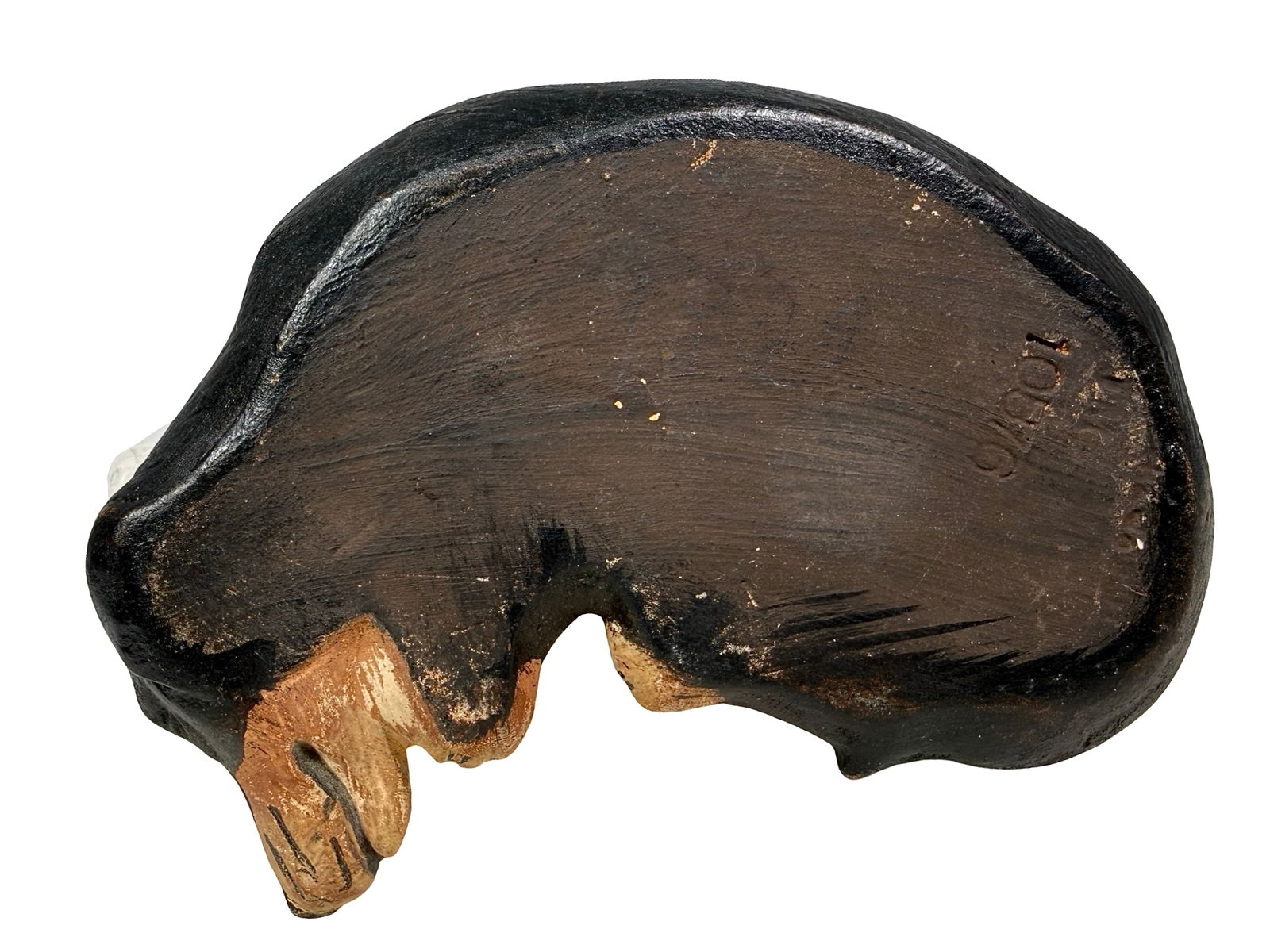 Dachshund Laying Down - 6