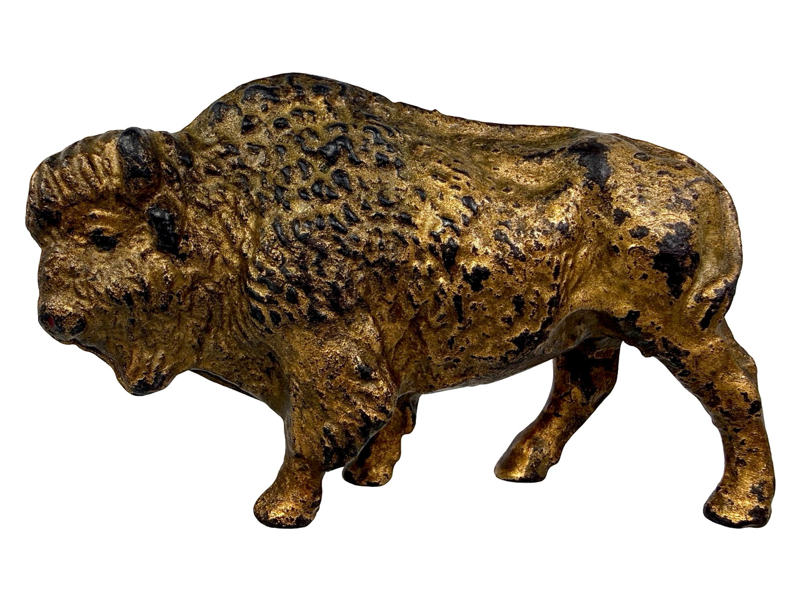 Rare Hairy Buffalo Bank (1 of 6)