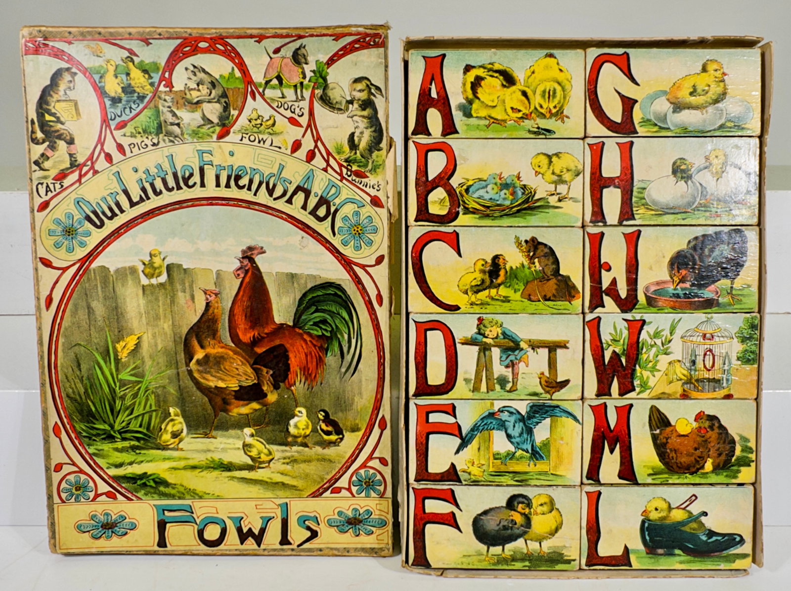 Our Little Friends - ABC Blocks - Fowls Edition (1 of 2)