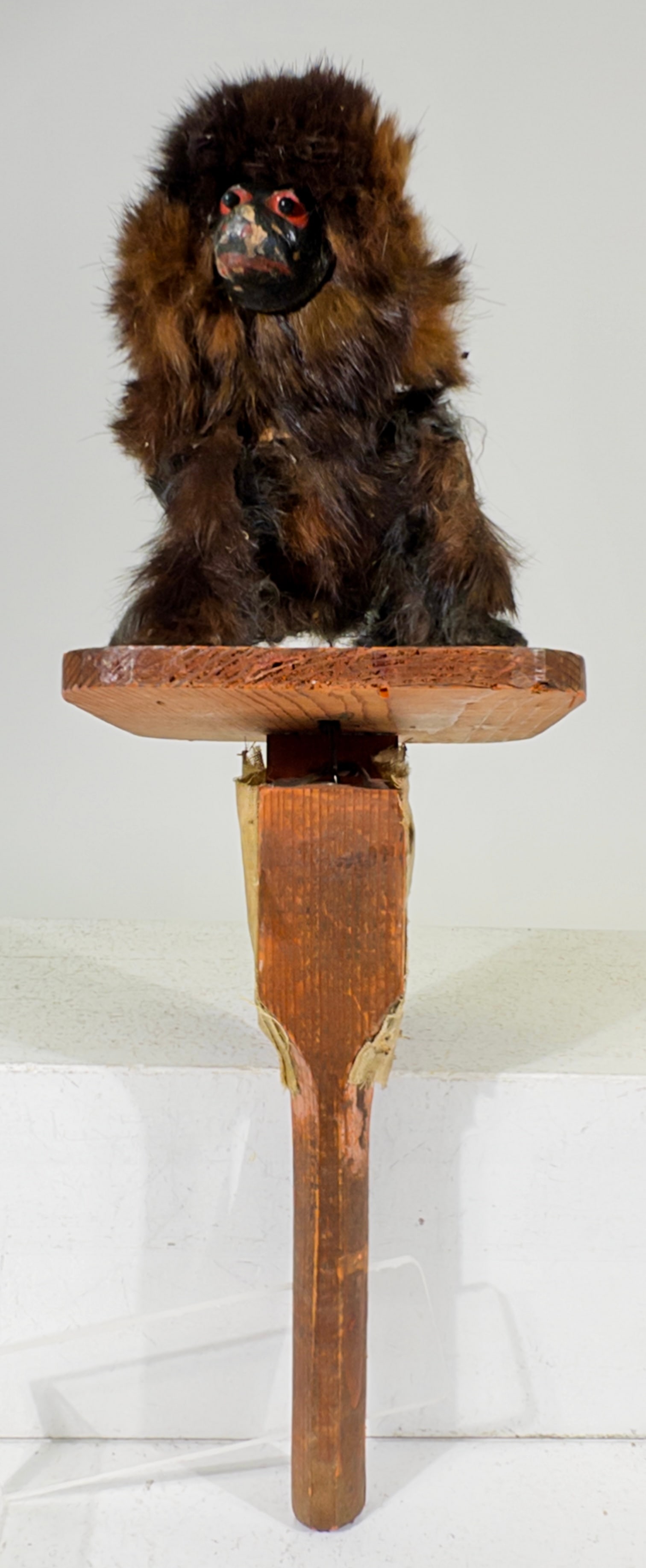 Poodle Manneville Toy: European 1920 - 13"T