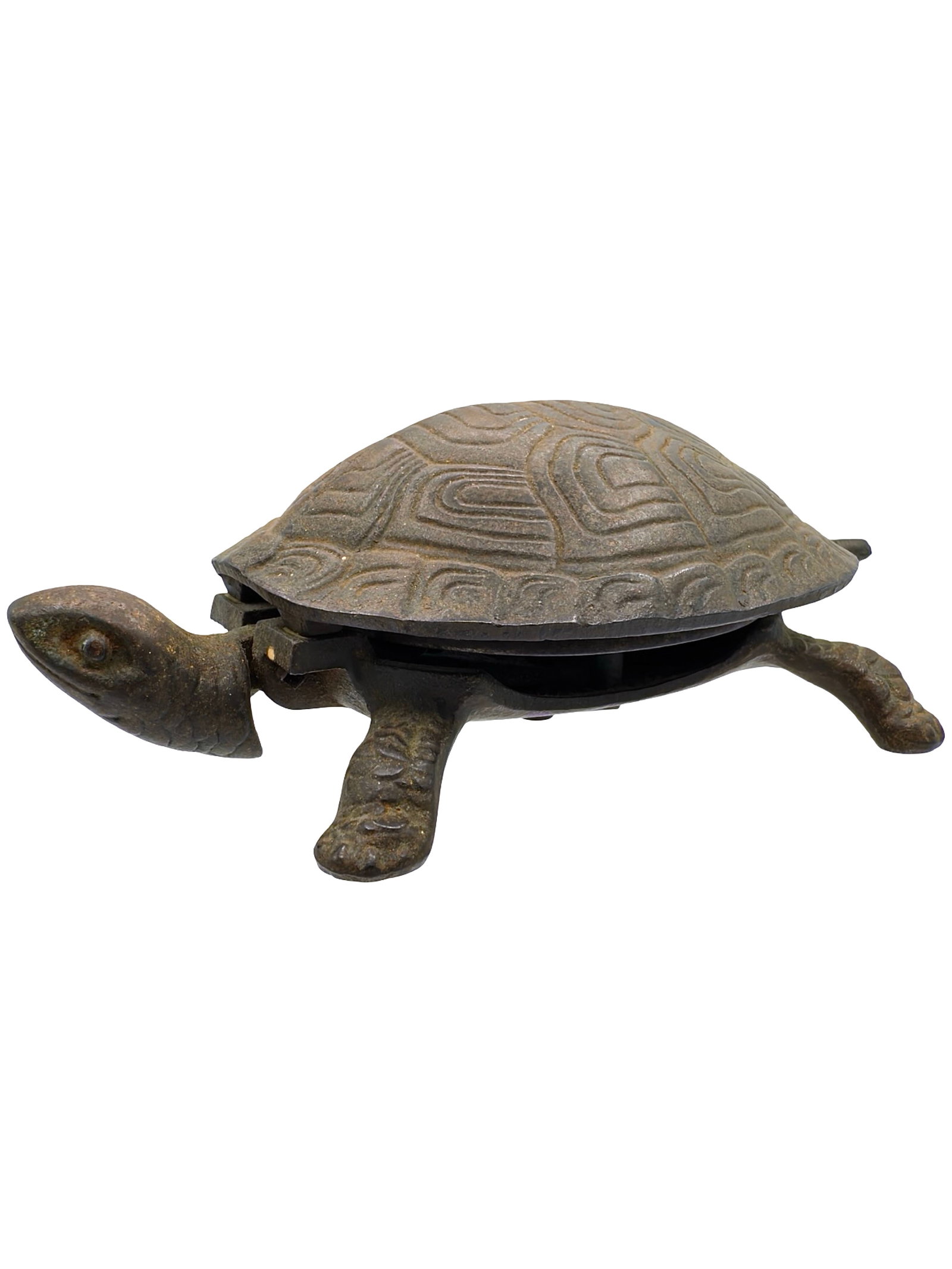 Turtle - Windup Bell (1 of 6)