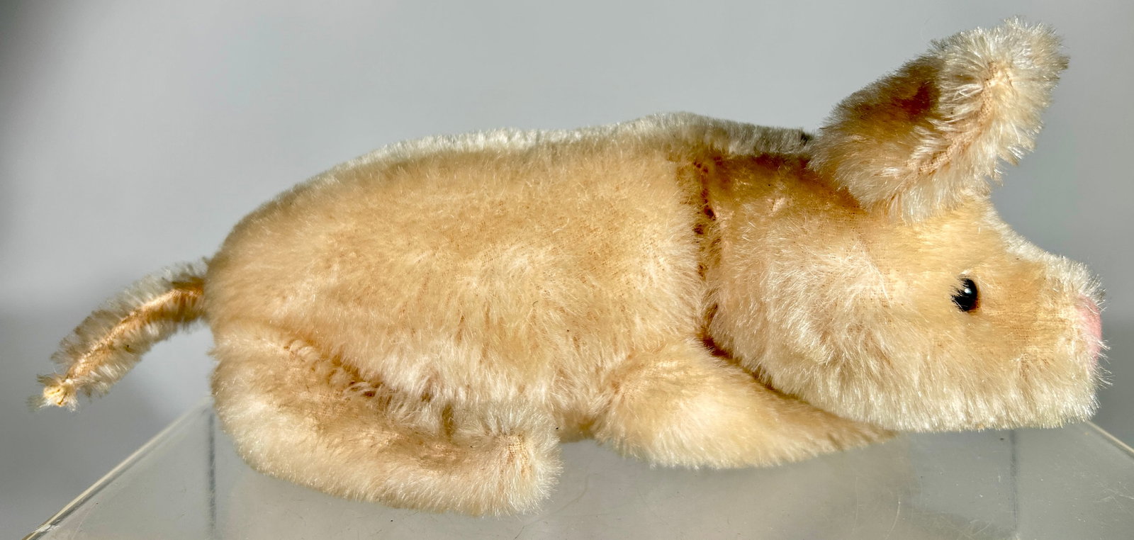 Steiff Baby Pig (1 of 3)