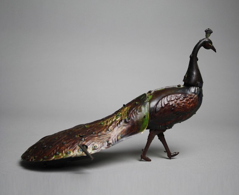 Strutting Peacock (1 of 1)