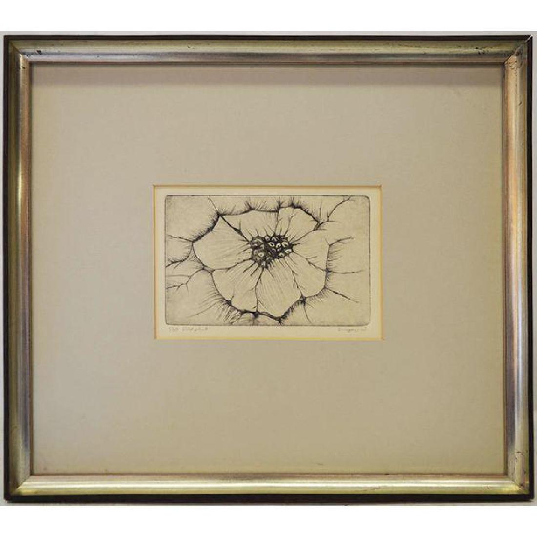 Framed Wild Plant Etching (1 of 4)