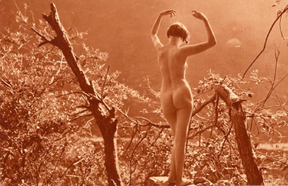 Nude by Marcel Meys. C1930: Nude by Marcel Meys. C1930. From his series Plein Air.