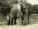 Ceylon Elephant at Kandy Lake. c1925