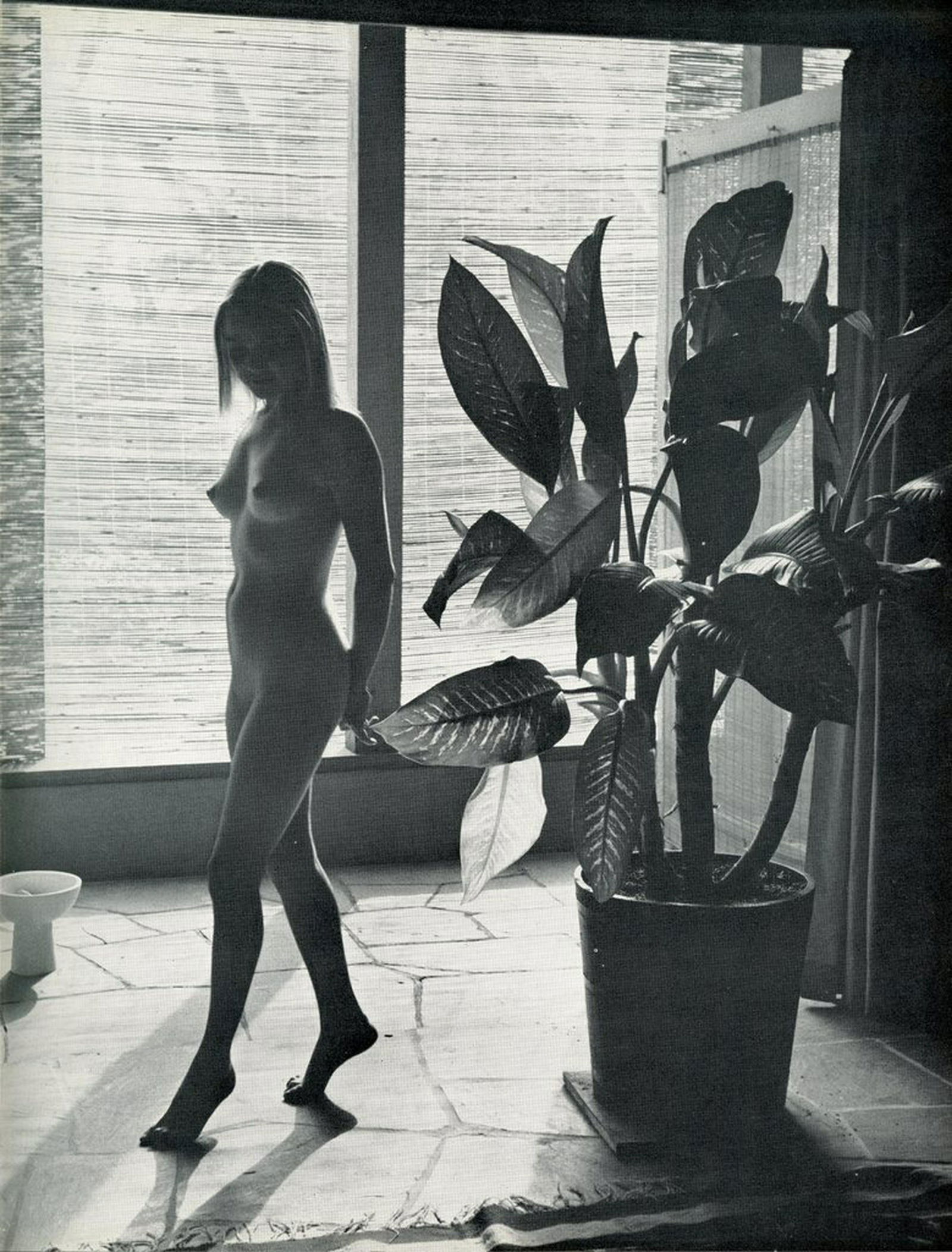 Nude by Andre de Dienes. C1958: Nude by Andre de Dienes. C1958. American-Hungarian photographer famous for nude photography and photographs of a young Marilyn Monroe. From Nude Pattern. 10.75 x 8.25 in. Rev: 6.5 x 8.25 in