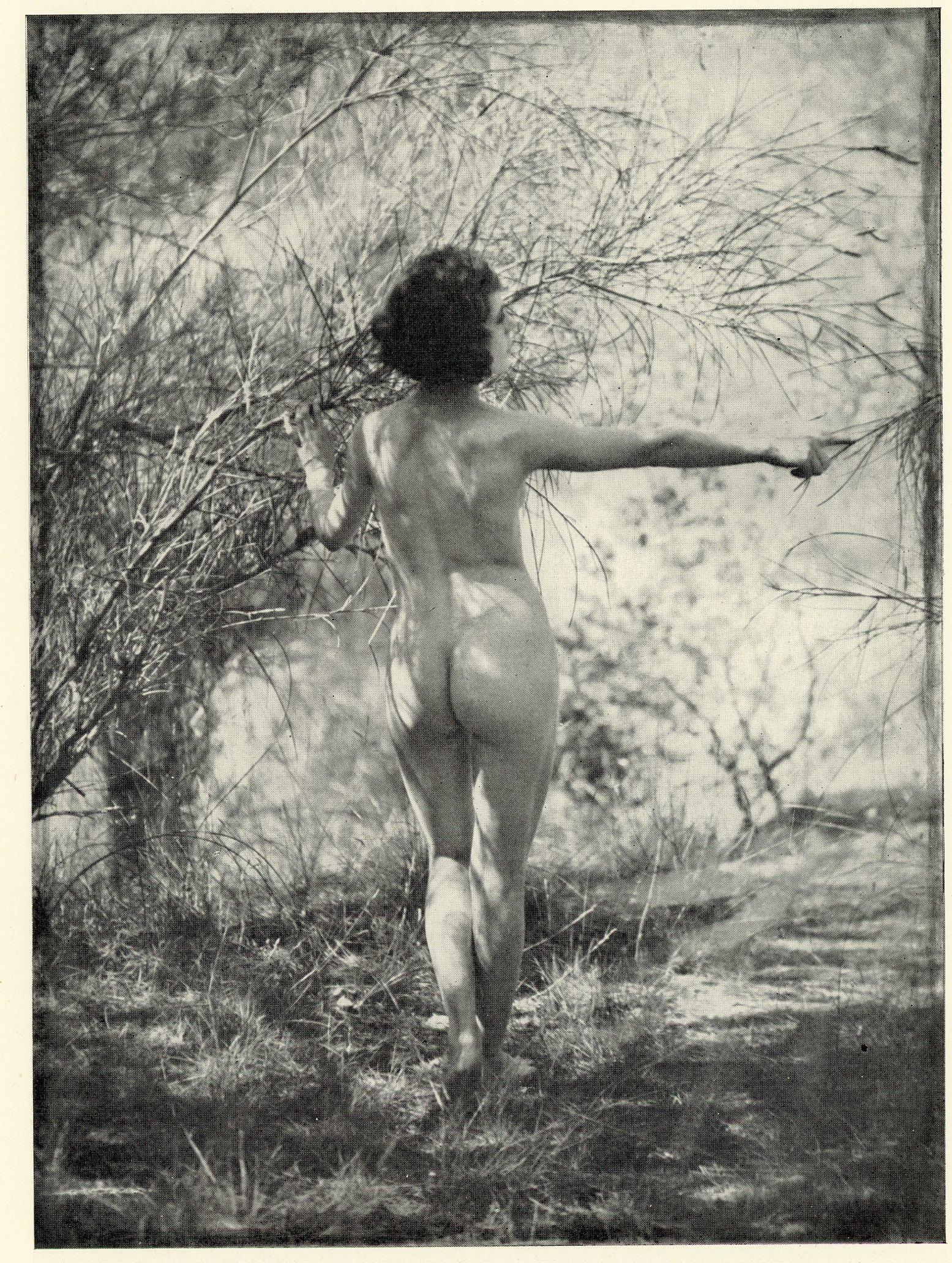 Nude by Bertram Park & Yvonne Gregory. C1934: Nude by Bertram Park & Yvonne Gregory. Halftone print from 'The Beauty of the Female Form'. C1934. 6.5 x 4.875 in. Reverse: 7.125 x 4.875 in.