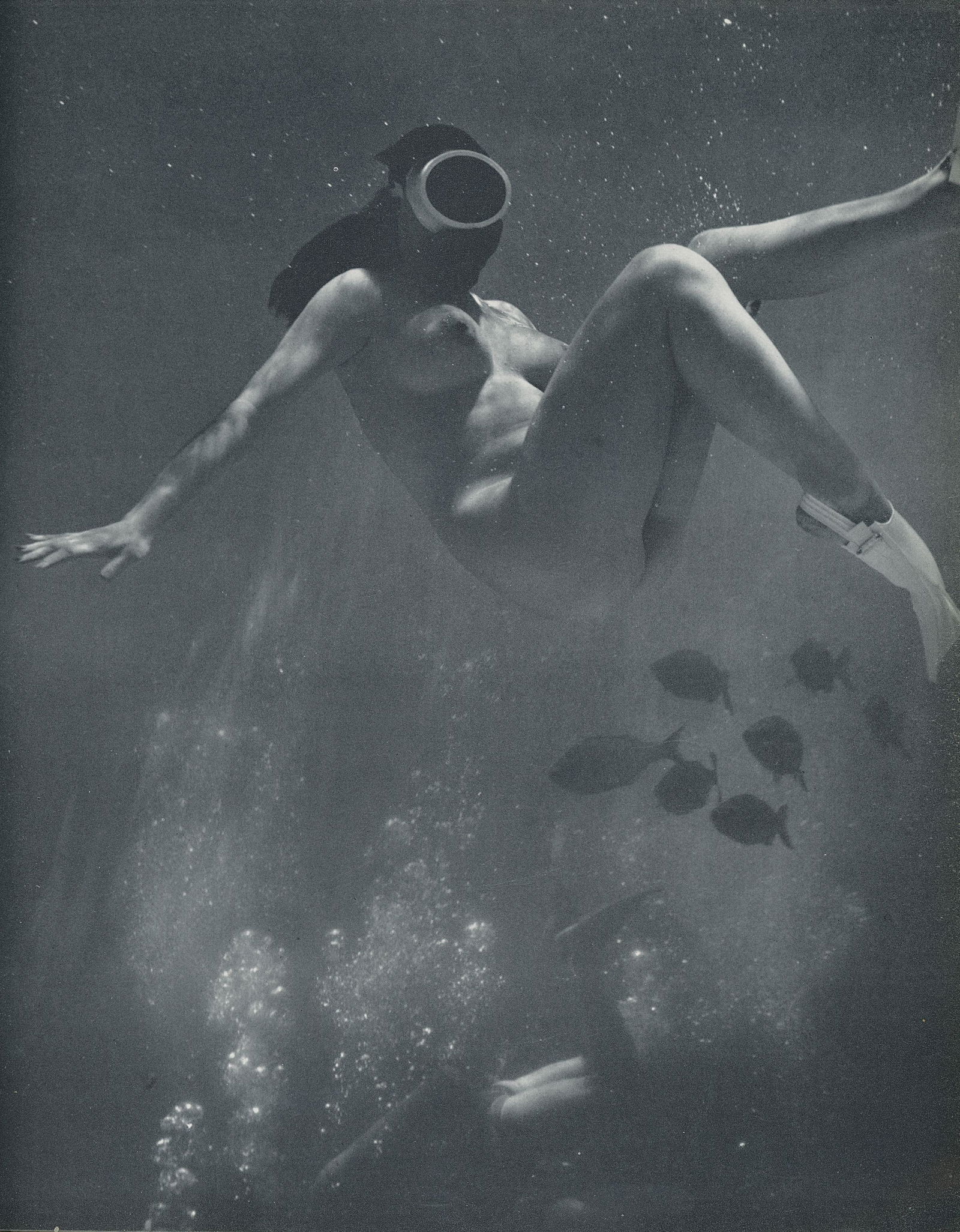 Nude by Andre de Dienes. C1962: Nude by Andre de Dienes. C1962. American-Hungarian photographer famous for nude photography and photographs of a young Marilyn Monroe. From Best Nudes. 10.875 x 8.75 in. Rev: 10.875 x 8.25 in.