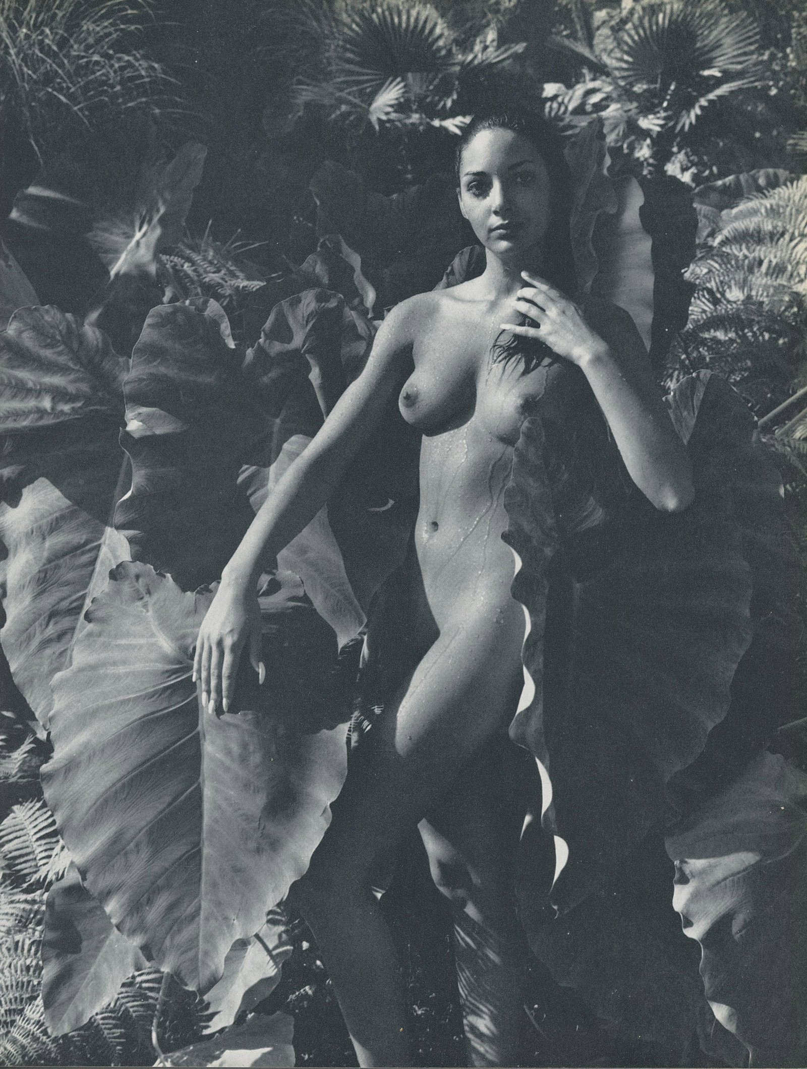 Nude by Andre de Dienes. C1962: Nude by Andre de Dienes. C1962. American-Hungarian photographer famous for nude photography and photographs of a young Marilyn Monroe. From Best Nudes. 10.9 x 8.25 in. Rev: 10.9 x 8.25 in.