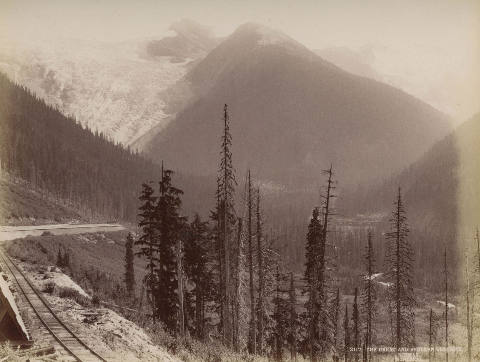 Great and Asulkan Glaciers, British Columbia. C1880 (1 of 1)