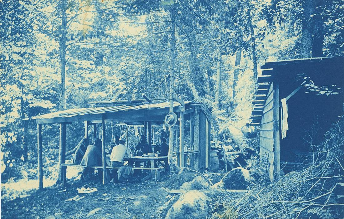 Cyanotype of a woodsy scene. c1920 (1 of 1)