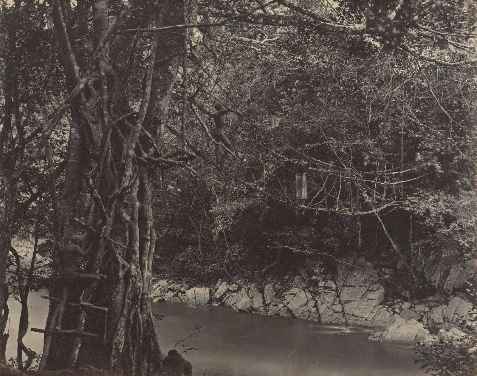 CEYLON. Ouvah Country, Cane Bridge: Ouvah Country, Cane Bridge. Samuel Bourne #2161. Bourne photographs of Ceylon are rare. Excellent contrast and tonality. 9.x 10.75 in.