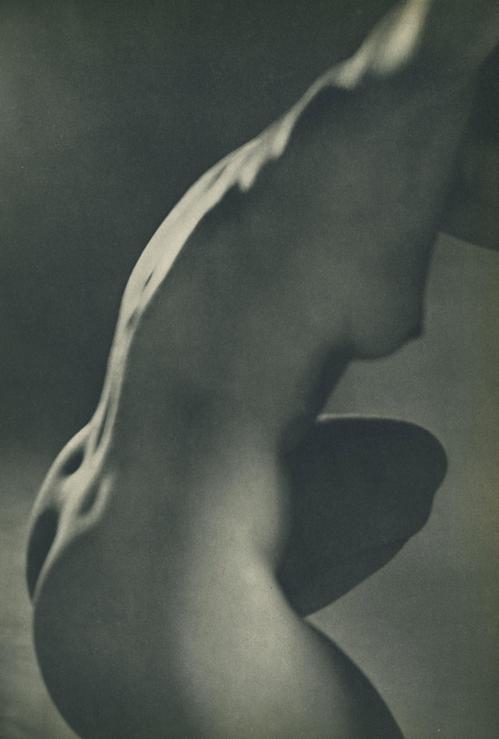 Nude by Martin Munkacsi. C1951: Nude by Martin Munkacsi. C1951. Hungarian Martin Munkacsi (1896 - 1963) was known for his scenes of street life in Germany and Hungary from the late 1920s and 1930s. When he was offered a contract by 