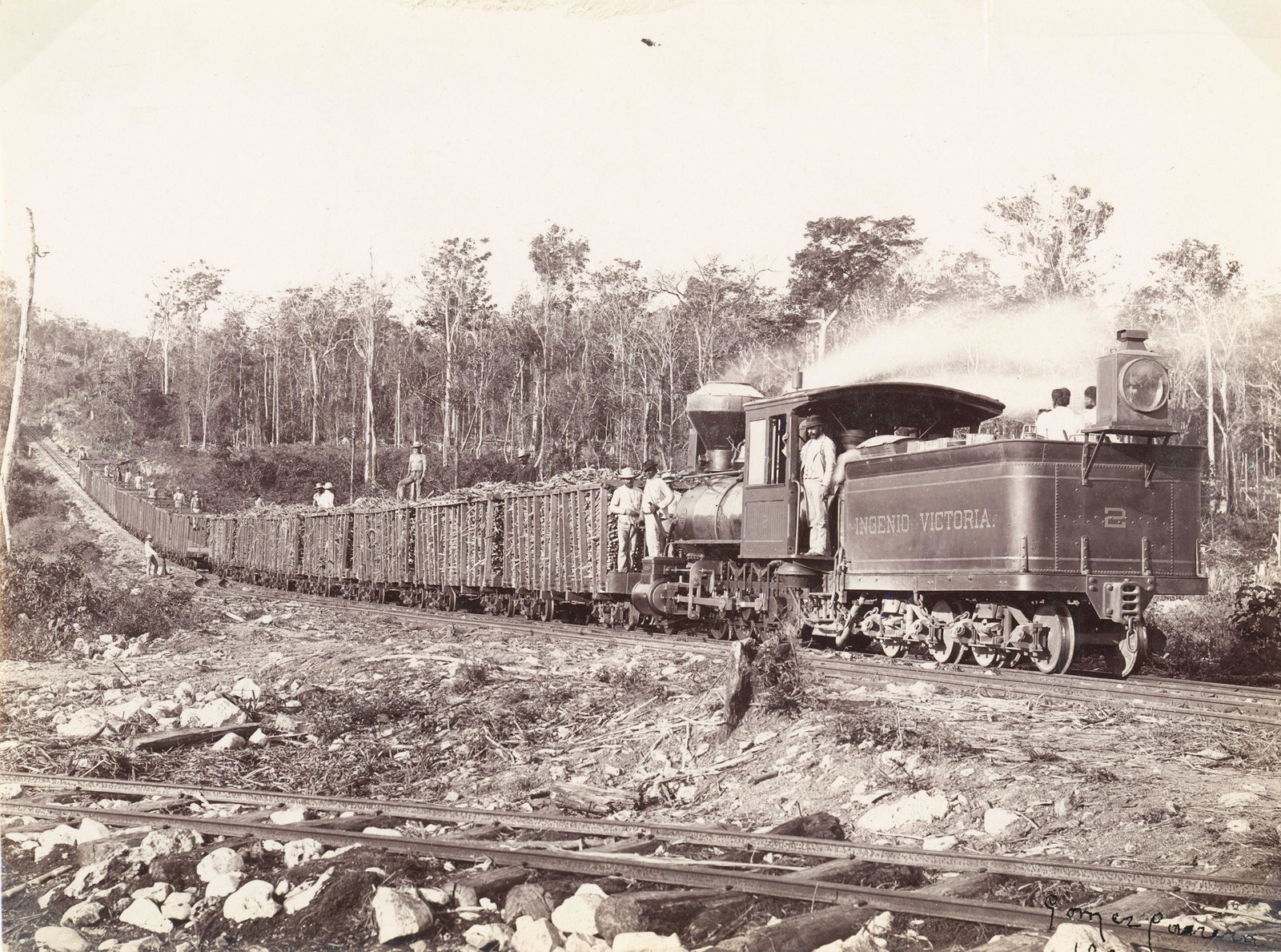 CUBA. The Sugar Train. C1895: The Sugar Train. C1895. Very good contrast and tonality. Photographer: Gomez Pererra. 5.25 x 8 in.