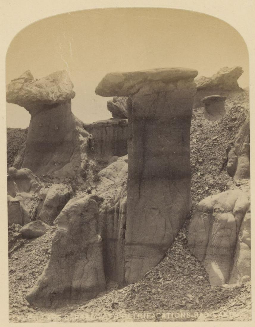 U.S.A. Pillars of Basalt Petrifications, Badlands. c1870: Pillars of Basalt Petrifications, Badlands. C1870. Good contrast and tonality. 3.75 x 2.875 in. Rev: Billings Bridge over Yellowstone River. Very good contrast and tonality. 3.75 x 2.875 in.