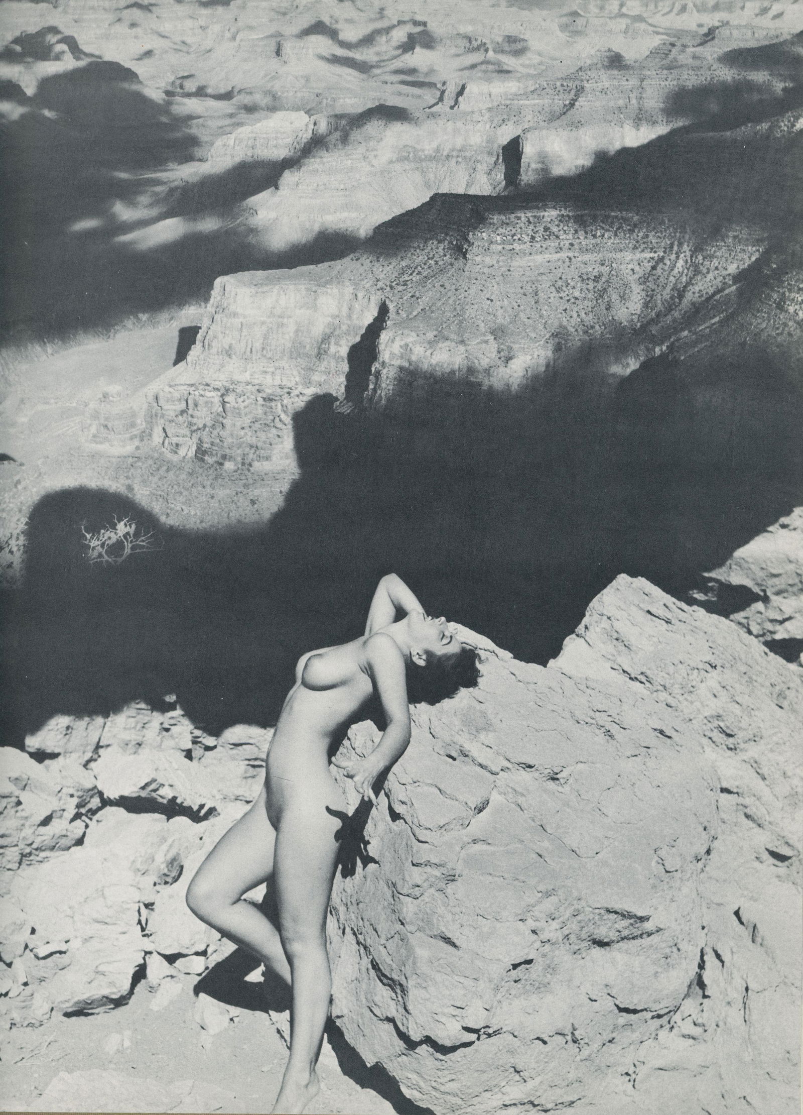 Nude by Andre de Dienes. C1966: Nude by Andre de Dienes. C1966. American-Hungarian photographer famous for nude photography and photographs of a young Marilyn Monroe. 11.75 x 8.75 in. Rev: 11.75 x 8.75 in.