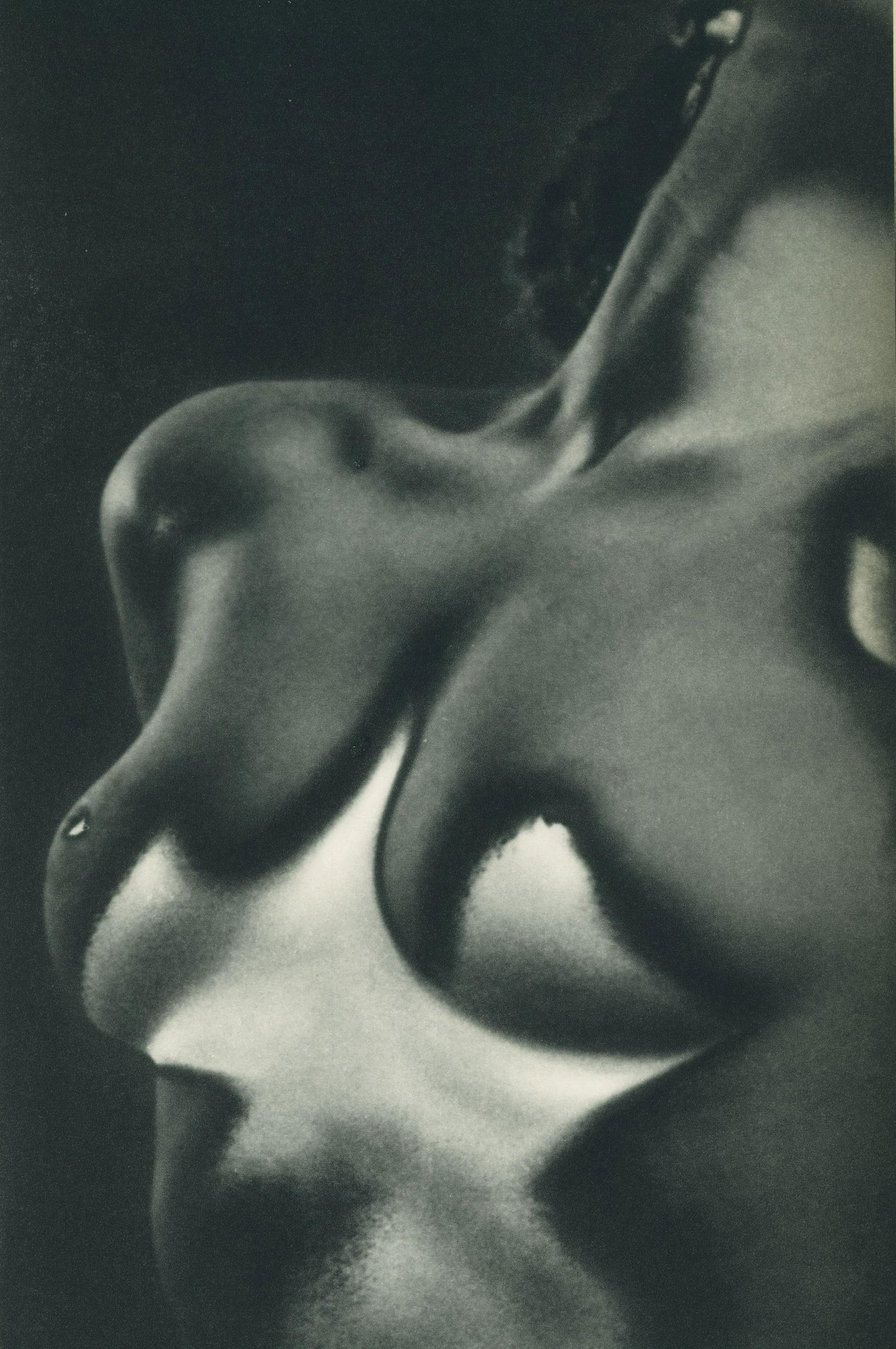 Nude by Rudolf Muller-Scoenhauser. C1954: Nude by Rudolf Muller-Scoenhauser. C1954. 11.75 x 7 in. Rev: Nude by Ferenc Berko. 11.75 x 9.75 in.