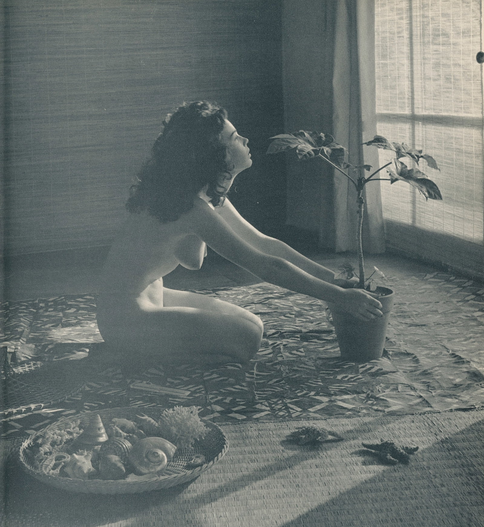 Nude by Andre de Dienes. C1965: Nude by Andre de Dienes. C1965. American-Hungarian photographer famous for nude photography and photographs of a young Marilyn Monroe. 9 x 8.25 in. Rev: 8 x 6 in.