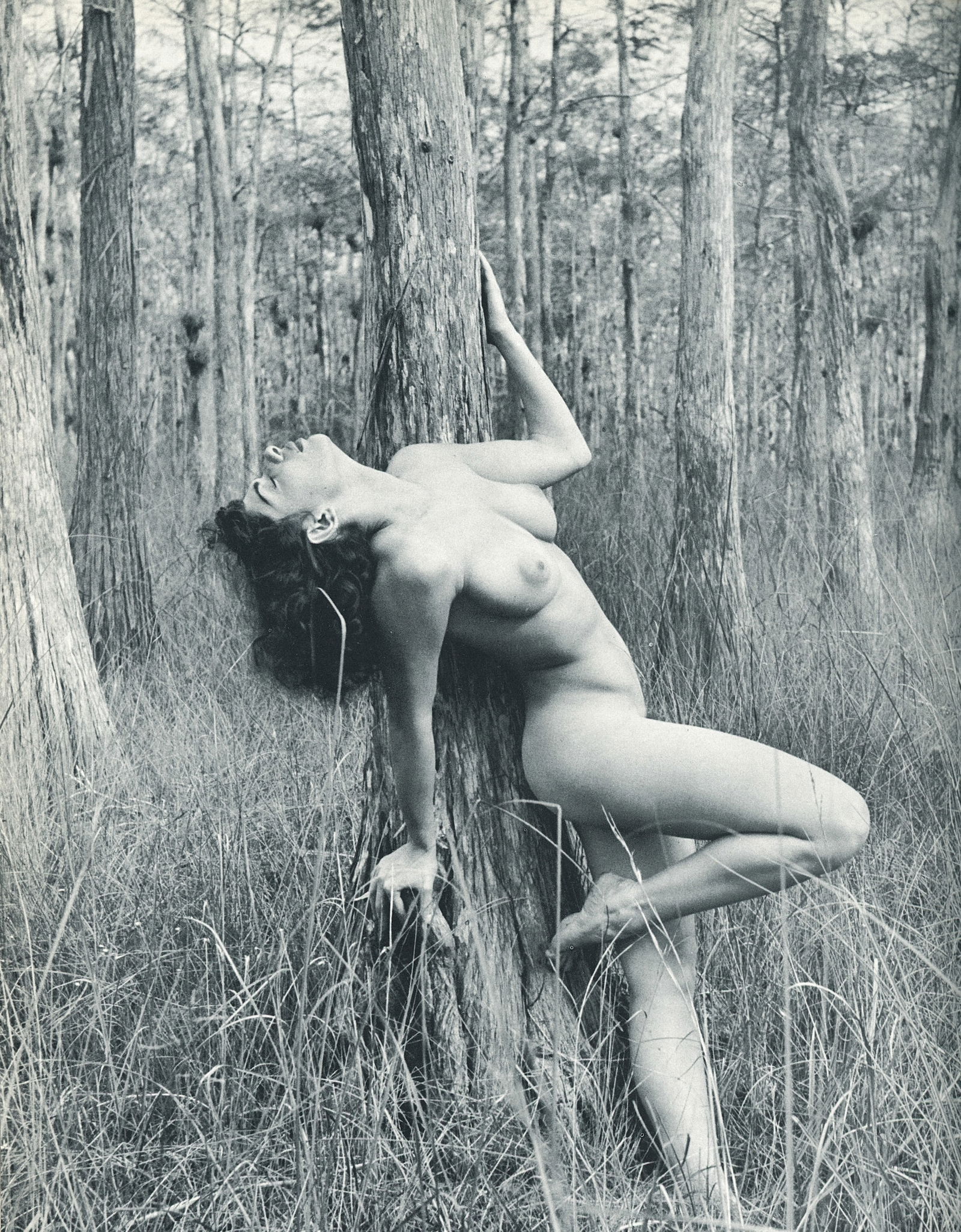 Nude by Andre de Dienes. C1966: Nude by Andre de Dienes. C1966. American-Hungarian photographer famous for nude photography and photographs of a young Marilyn Monroe. 11.75 x 8.5 in. Rev: 10 x 8.25 in.