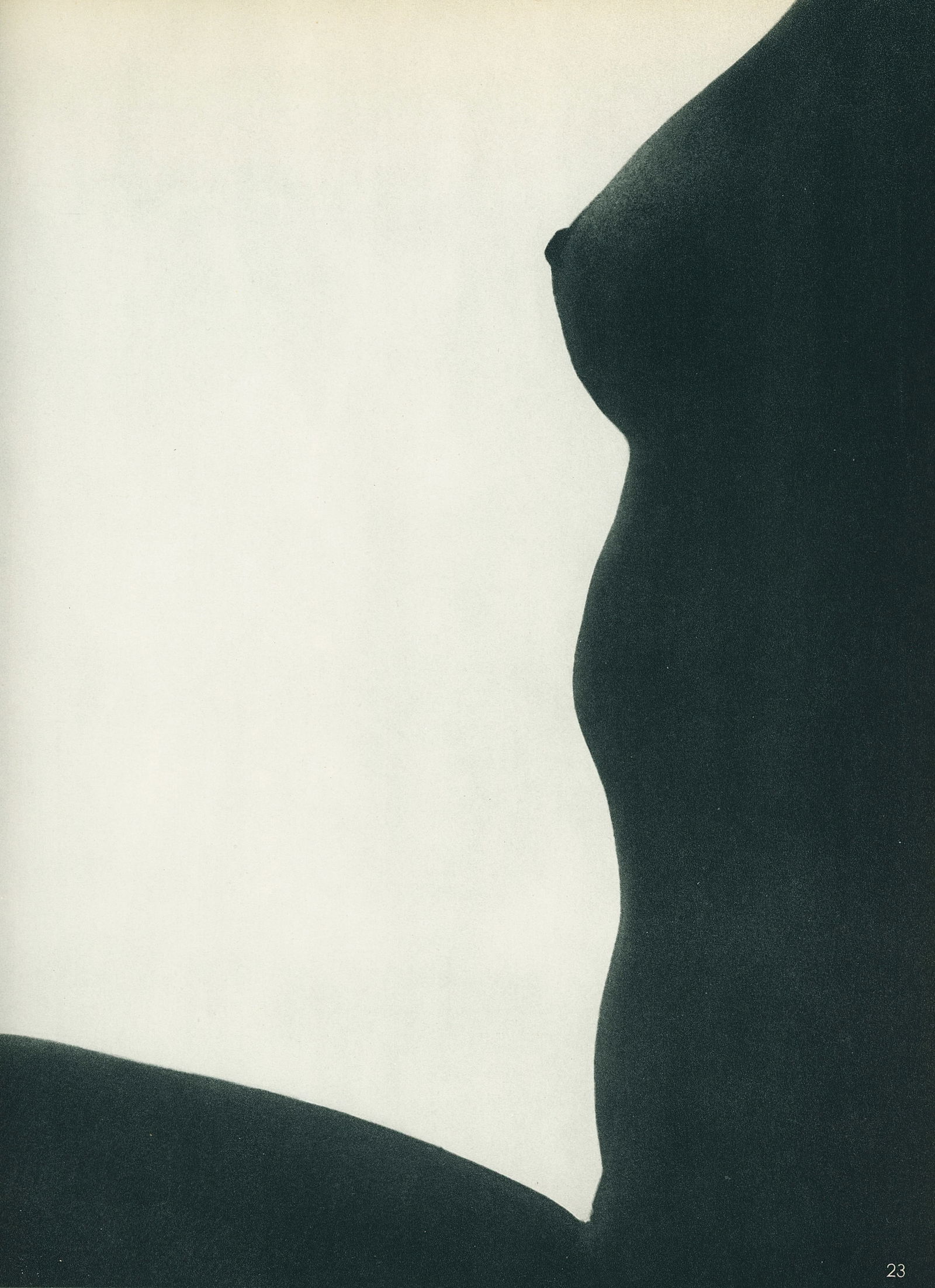 Nude by Ferenc Berko. C1954: Nude by Ferenc Berko. C1954. 11.75 x 9.75 in. Rev: Nude by Ferenc Berko.11.75 x 9.25 in.