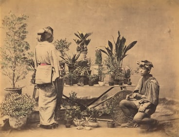 Flower Seller. C1890