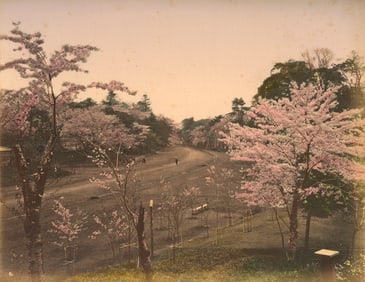 Cherry Blossom Time. C1890