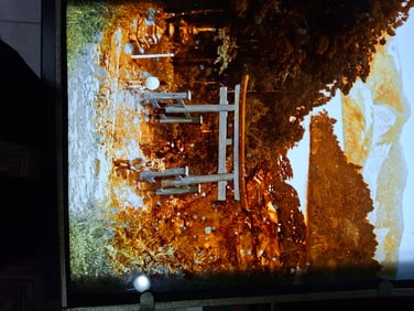 Glass Diopositive. C1900