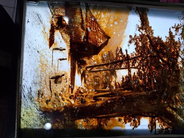 Glass Diopositive. C1900