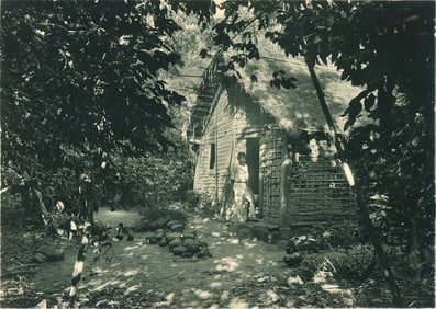 BRAZIL. Home in the Amazon. C1920