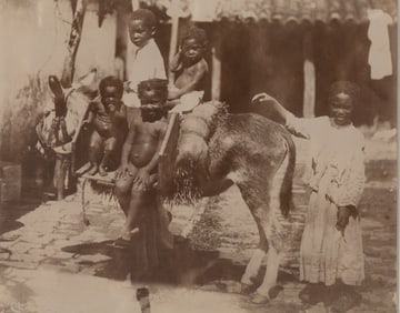 CUBA. Children on a Donkey. c1900