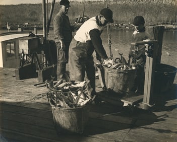 FISHING. Catch of the Day. C1950